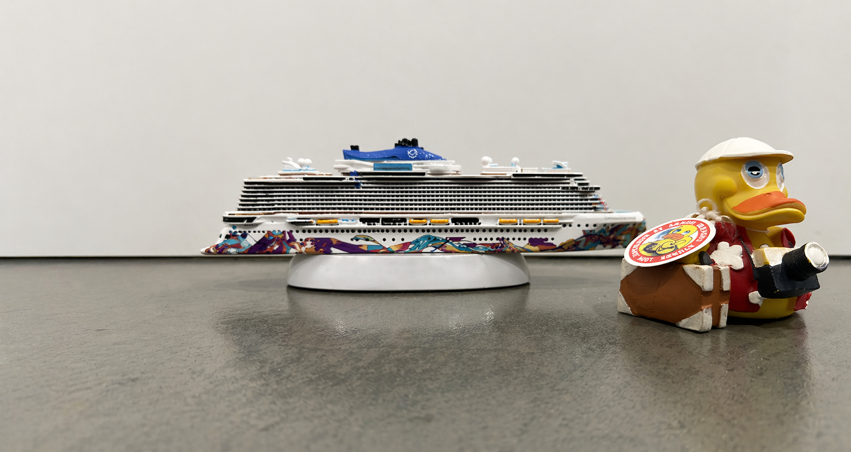 Cruise Ducks: il fenomeno degli anatroccoli da crociera