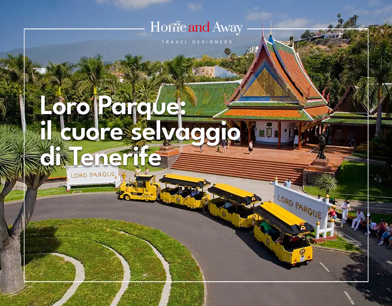 Al momento stai visualizzando Loro Parque Tenerife – Alla scoperta del cuore selvaggio dell’isola