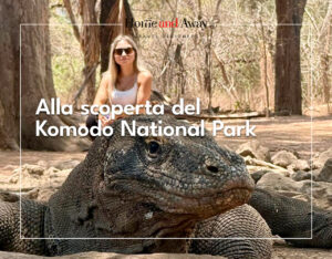 Scopri di più sull'articolo Alla scoperta del Komodo National Park